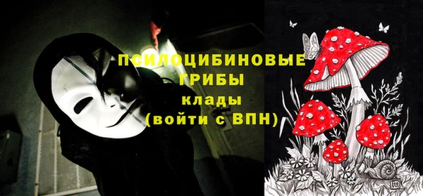 прущие крисы Ладушкин