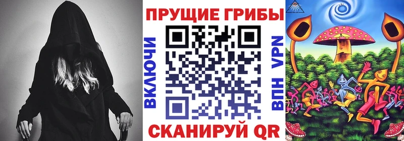 Галлюциногенные грибы Psilocybine cubensis  Купить закладки  Андреаполь 