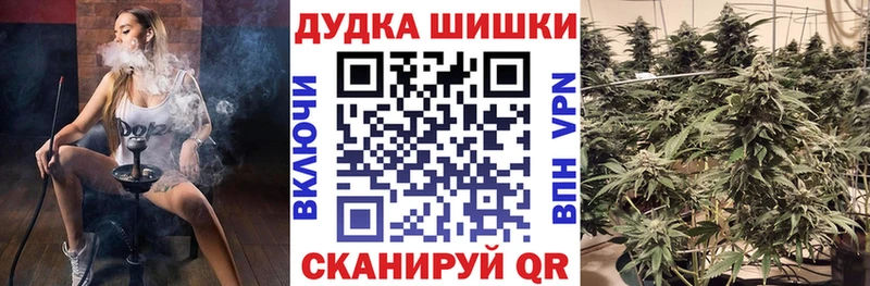 Купить где  Андреаполь  Бошки Шишки план 